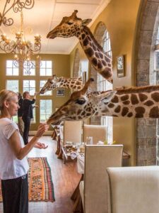 Nairobi Girafe Manor