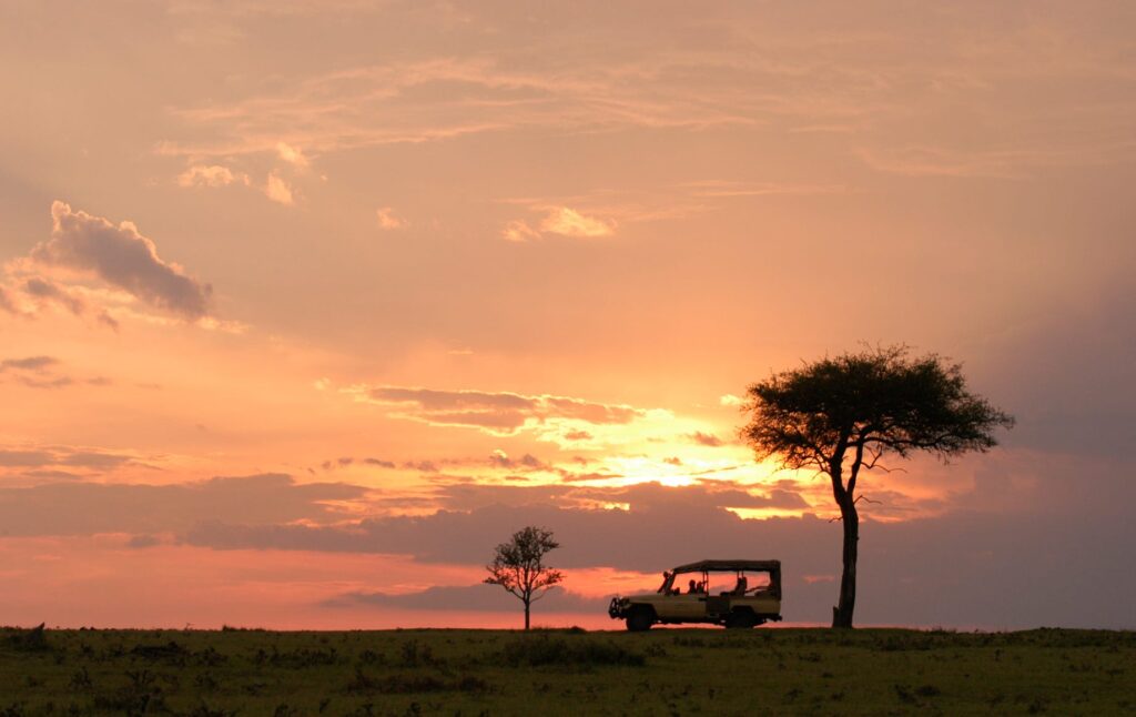 Safari Kenia kosten: de nationale parken