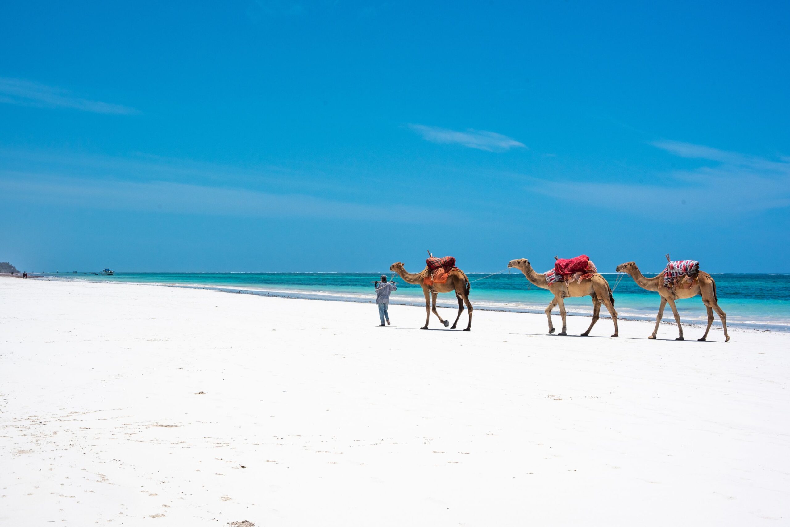 6-daagse strandverlenging Kenia: het strand van Mombasa