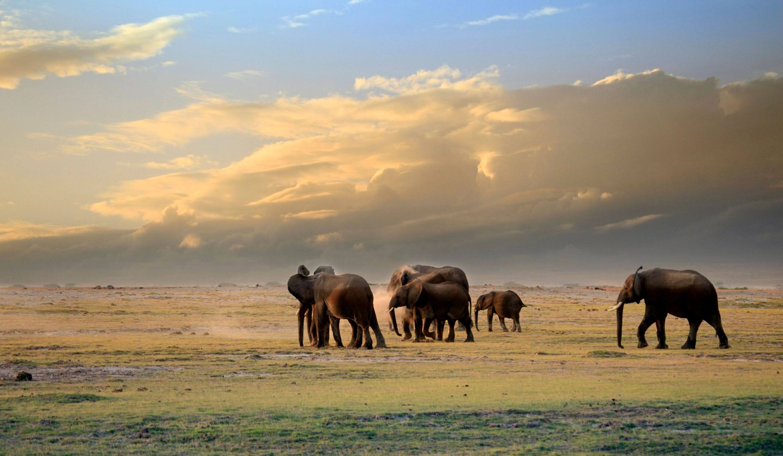 Amboseli National Park