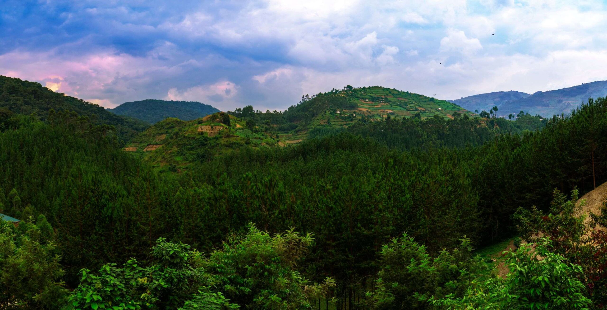 Bwindi Impenetrable National Park