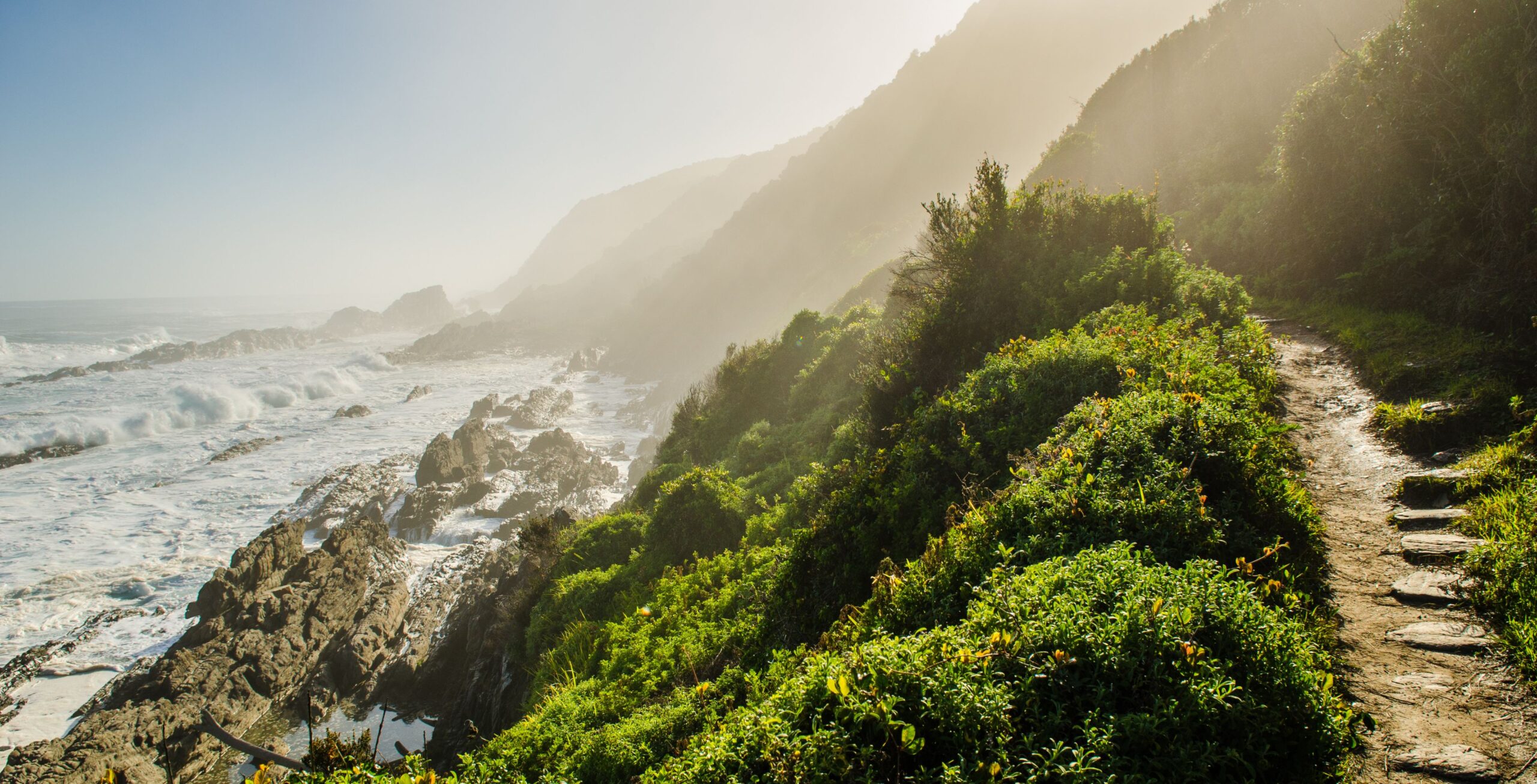 12 dagen Zuid-Afrika: Garden Route en Addo