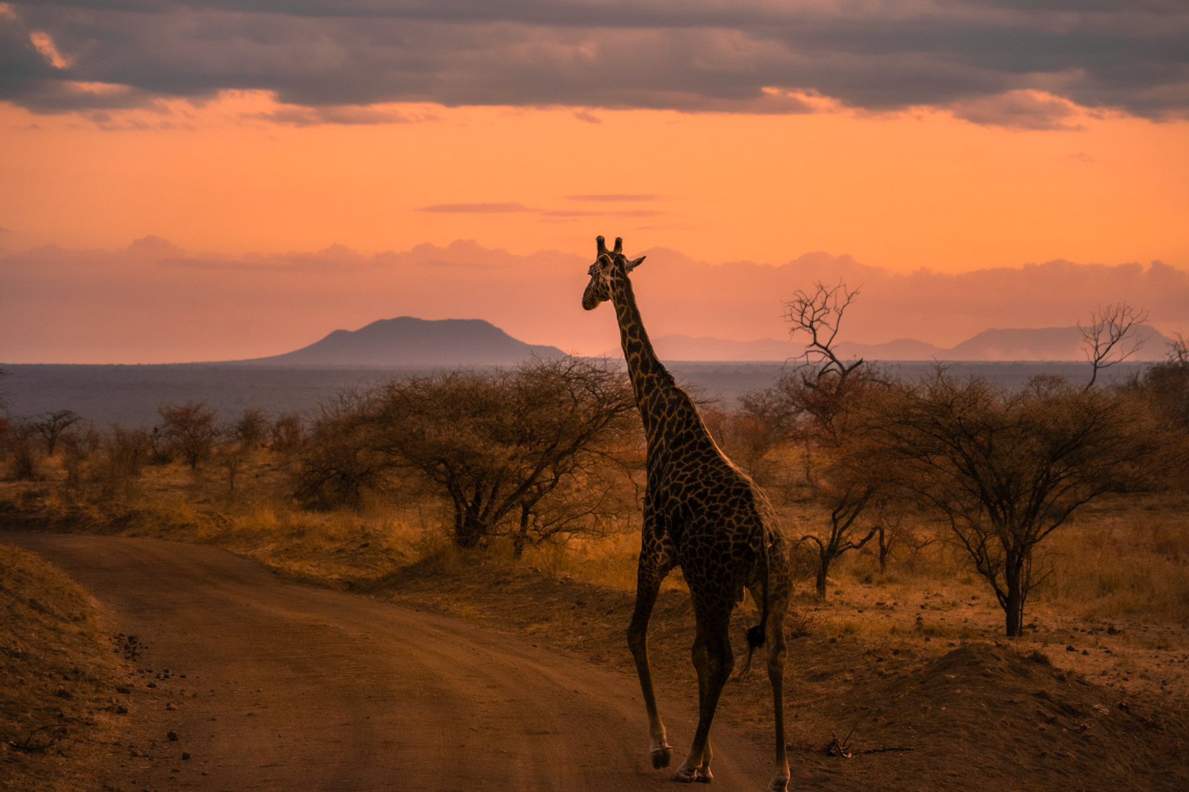 12 dagen safari & strand - De perfecte reis voor jou om te genieten - 100% rolstoelvriendelijk