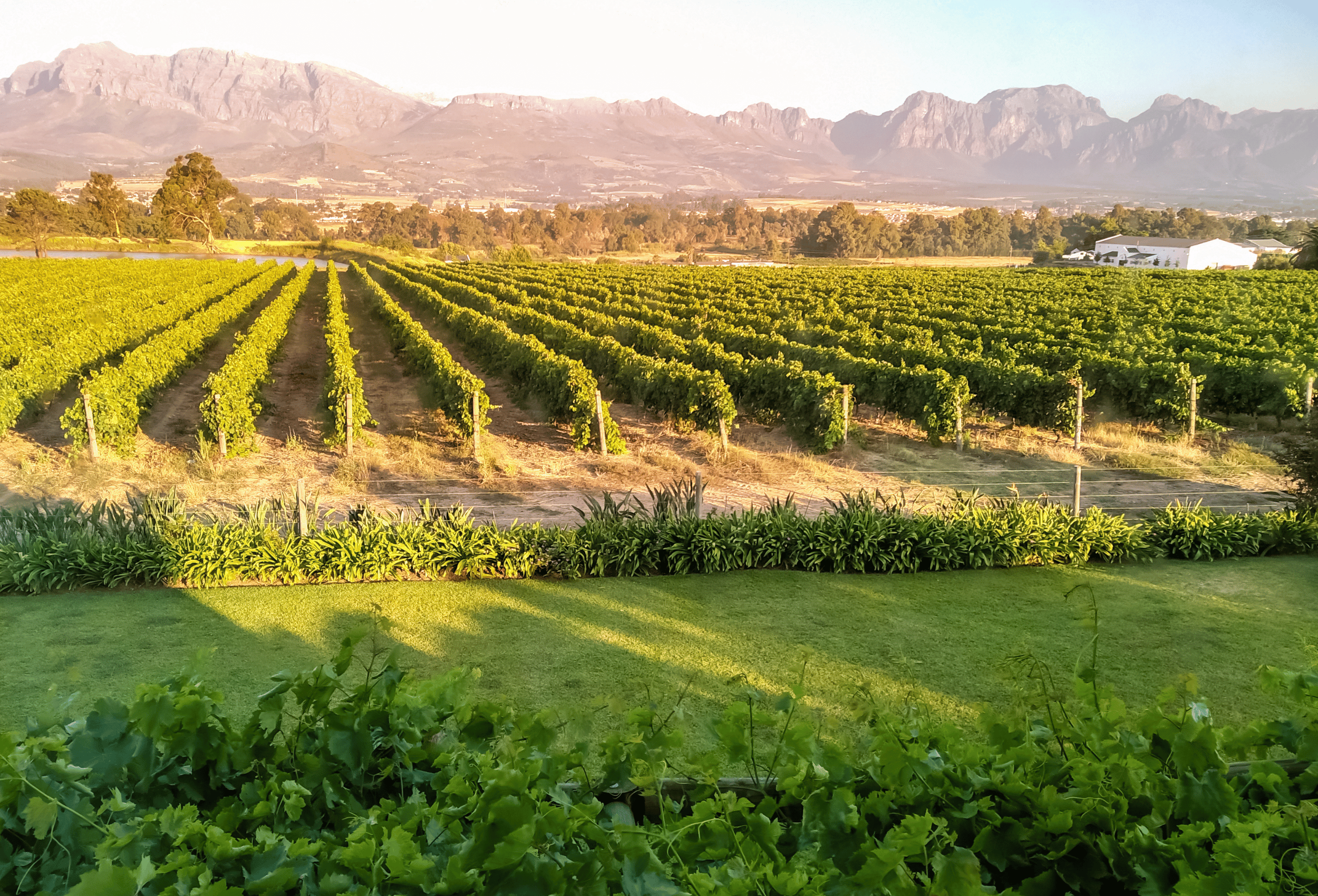 South-Africa_Winelands_Paarl