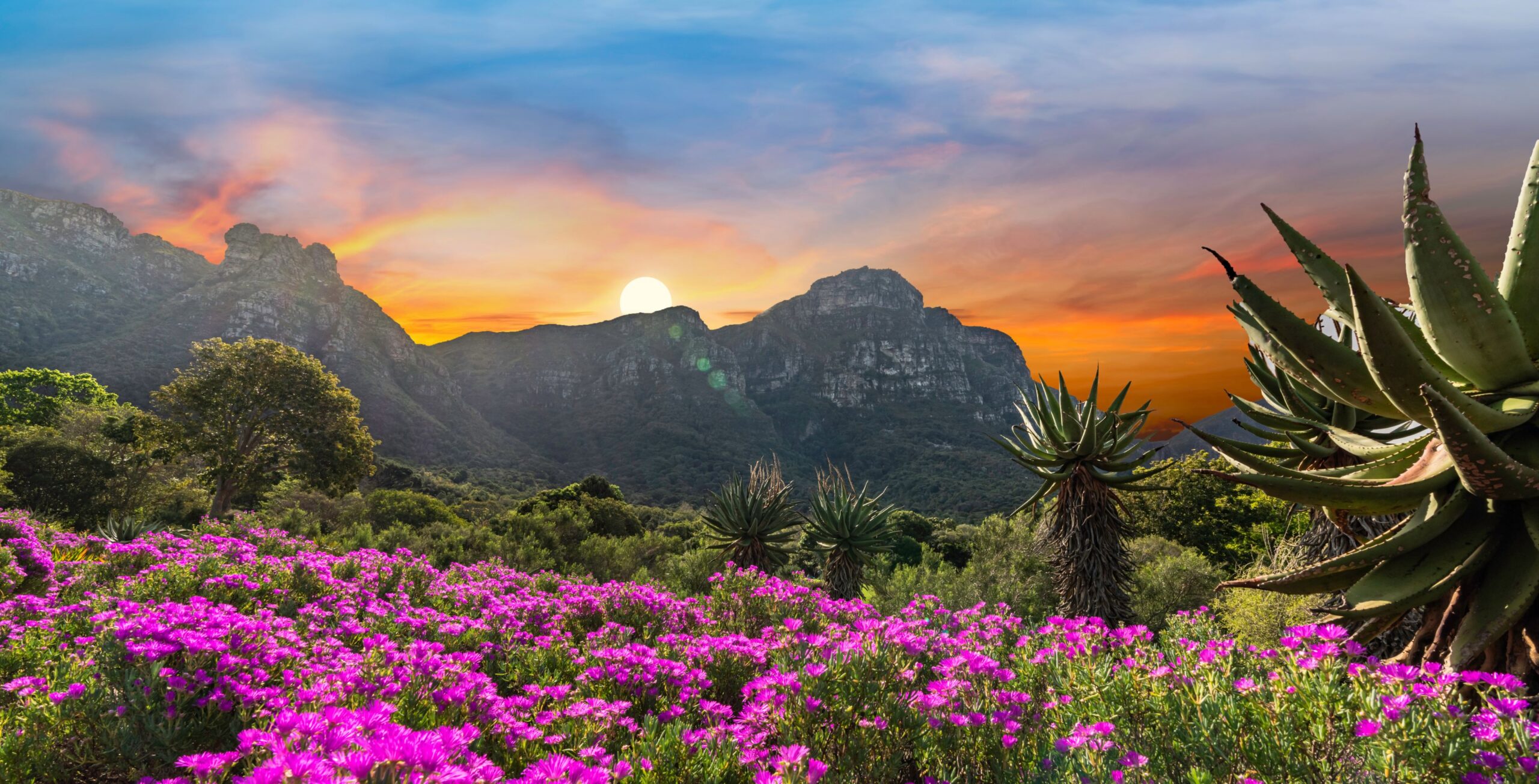 Bezoek de Kirstenbosch Botanical Garden