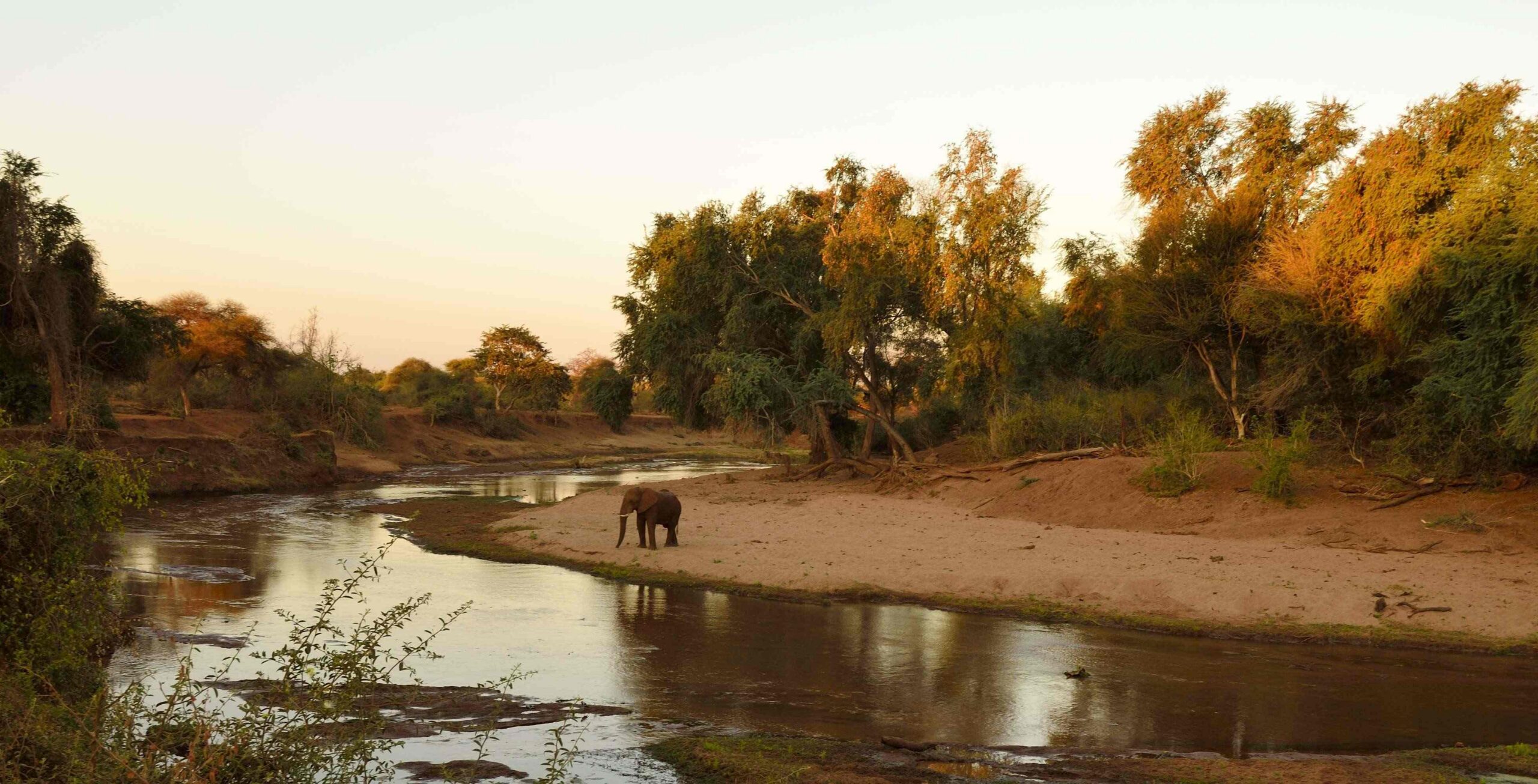 5 dagen Zuid-Afrika: avonturen in Kruger