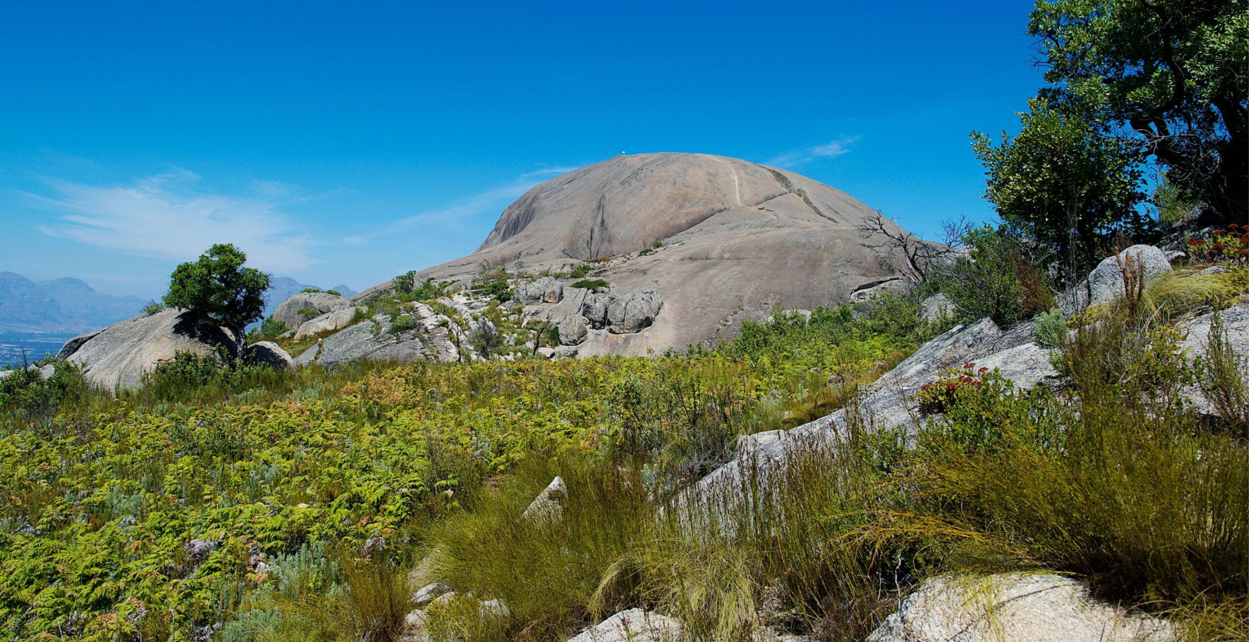 hike-naar-paarl-rock-in-paarl-mountain-nature-reserve-ter-plaatse