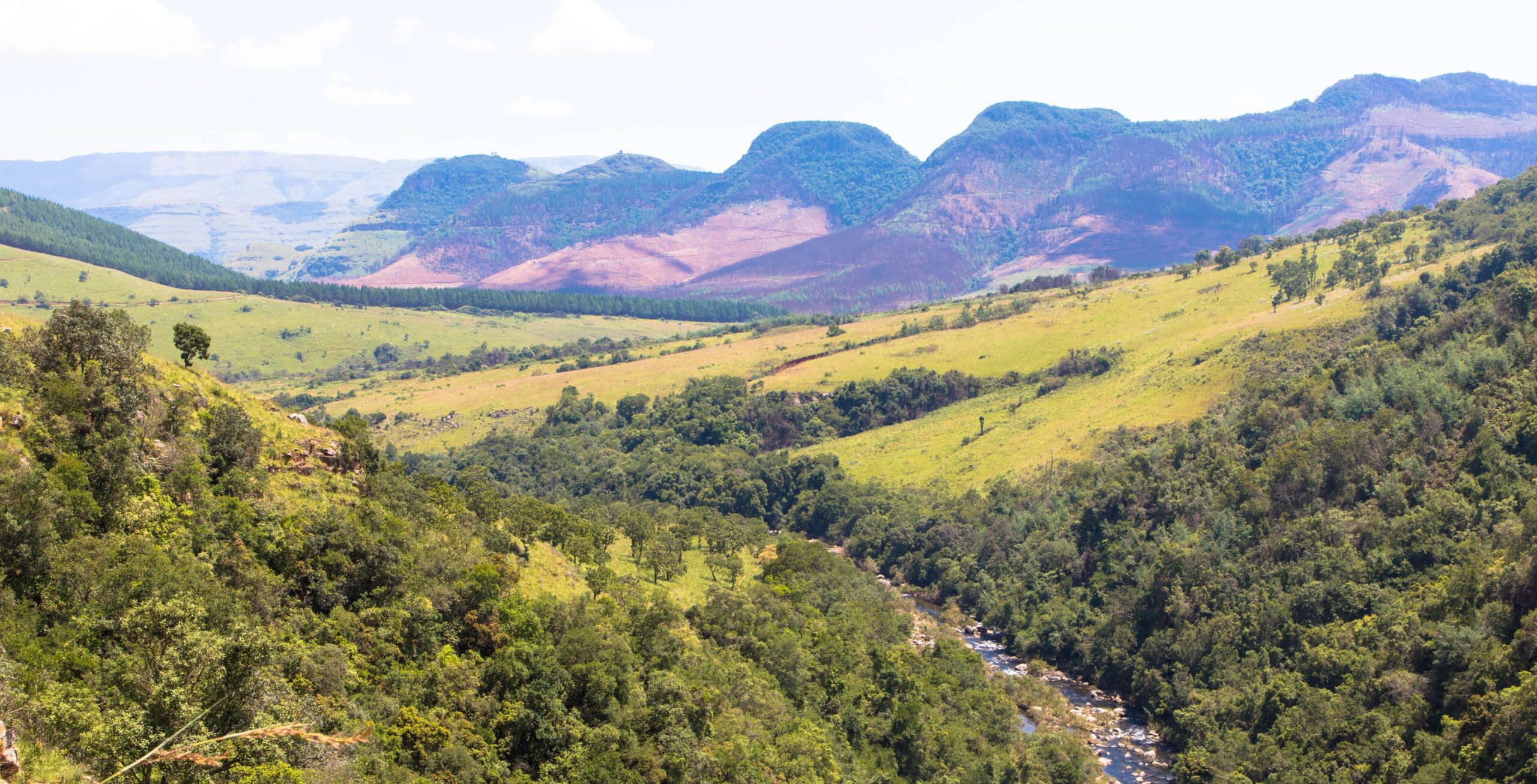 14 dagen Zuid-Afrika: Panorama route, Kruger en Saint Lucia
