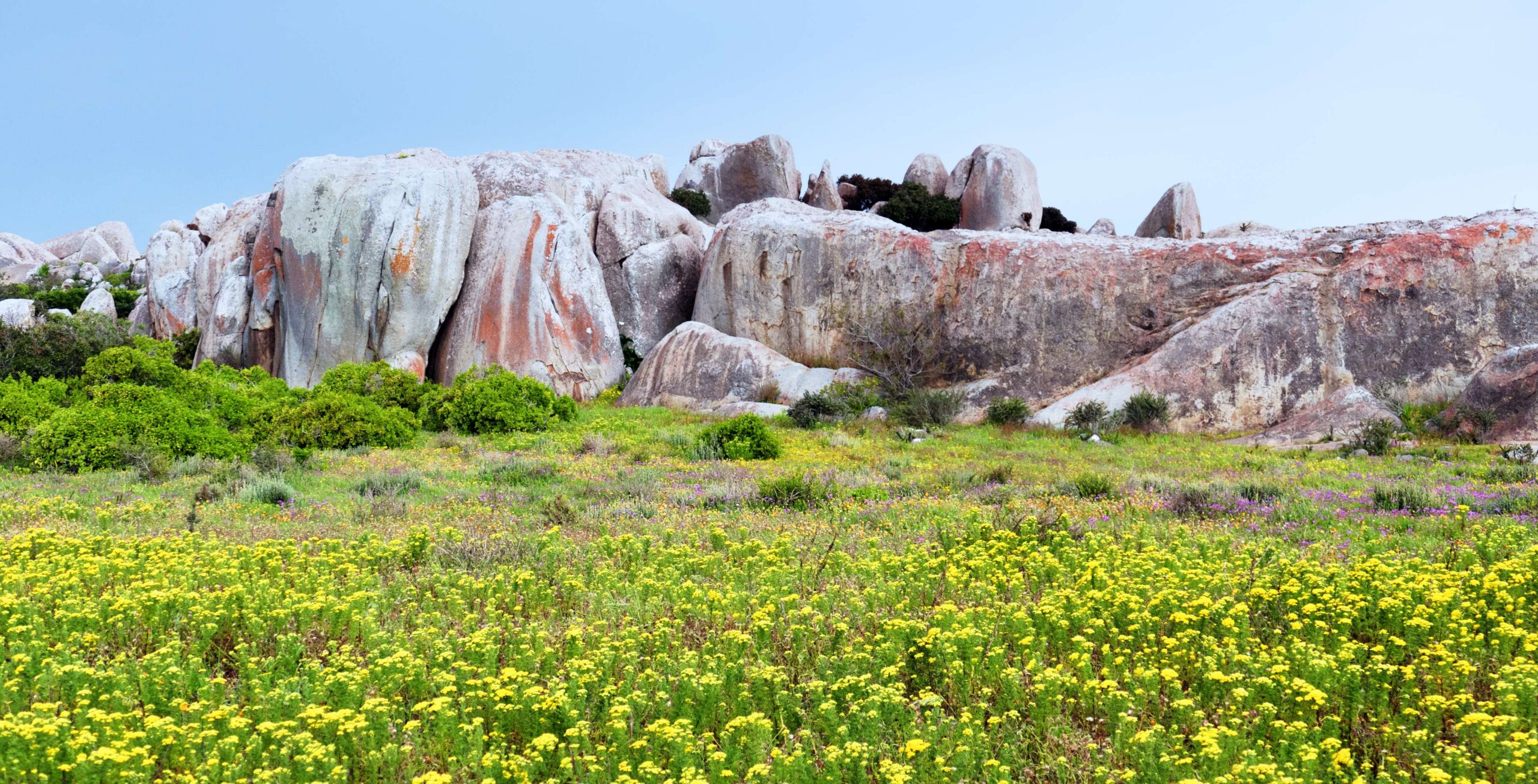 West Coast National Park