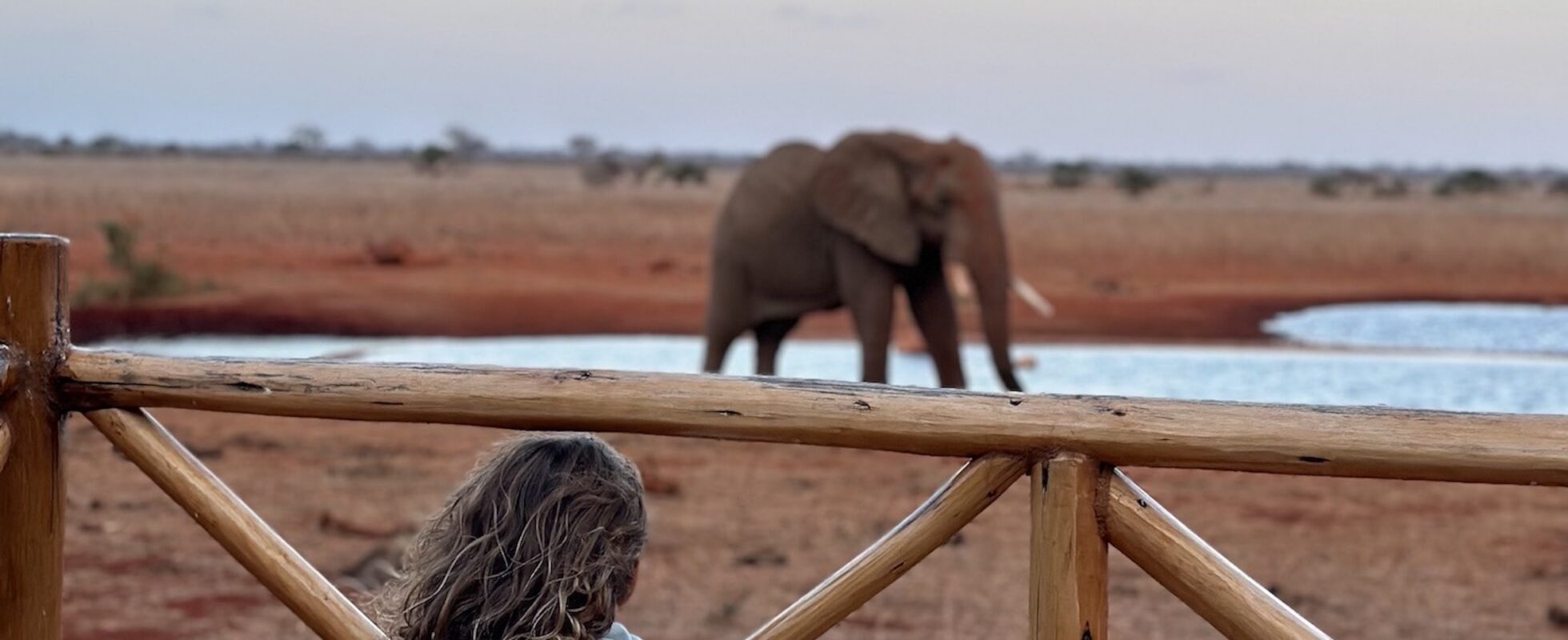 Klein meisje dat achter een houten hek naar een olifant kijkt
