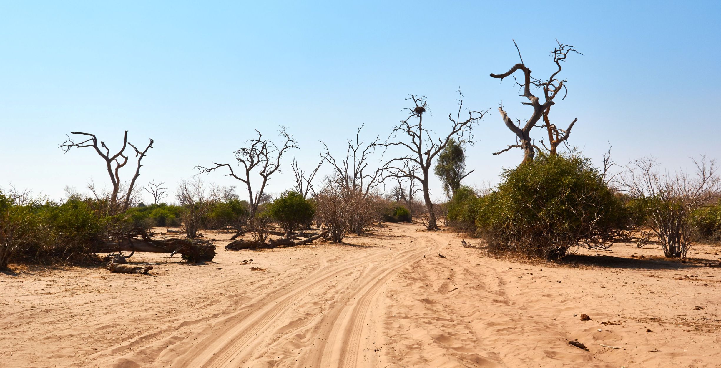 Drive from Savuti Marsh to the Khwai Community Concession