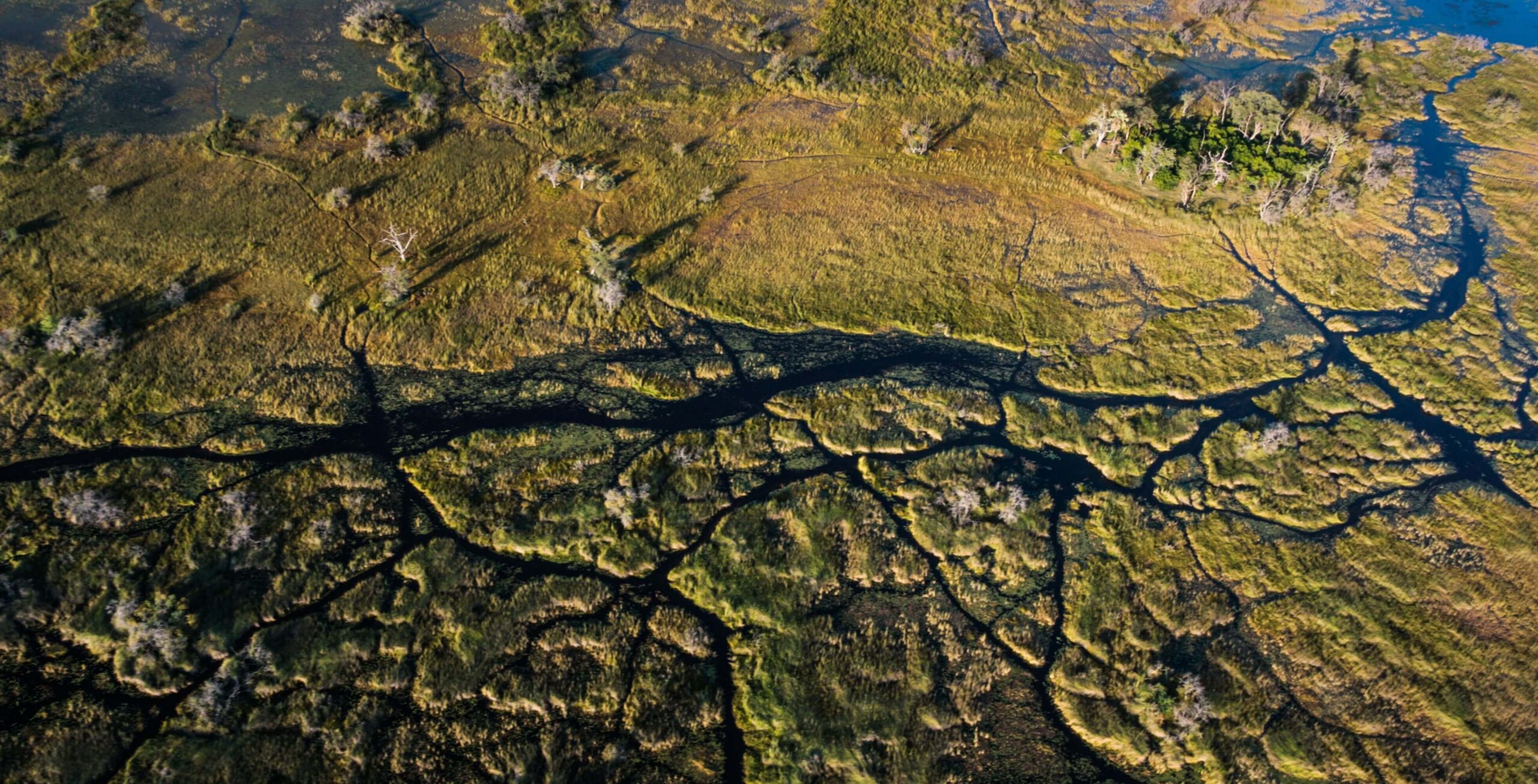 De indrukwekkende Okavango Delta
