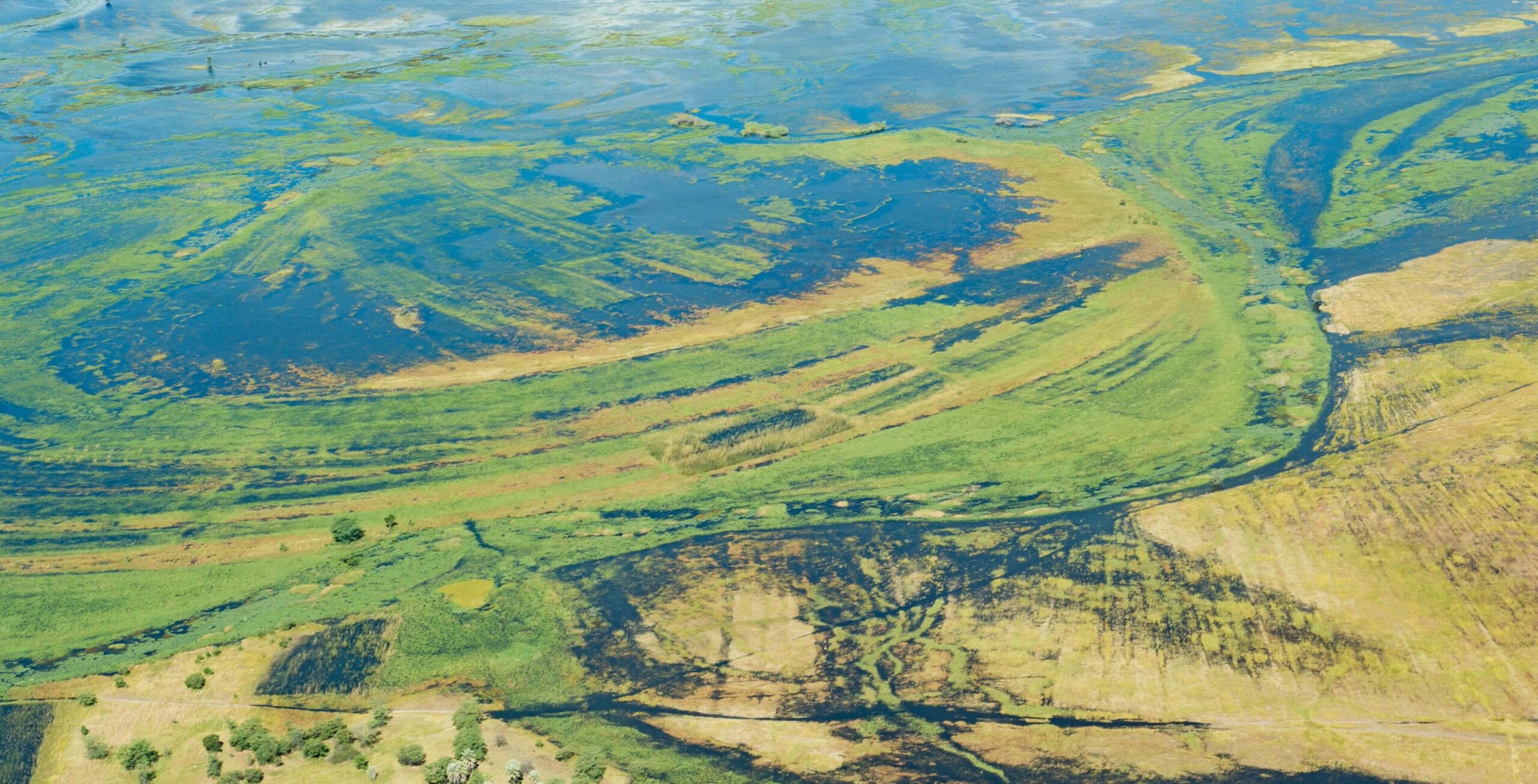 Vlucht van Savuti naar Kasane