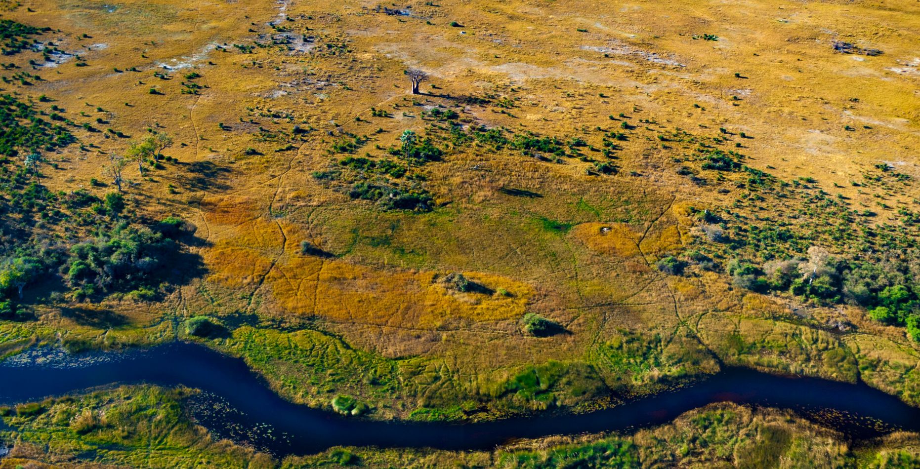 Vlucht van Khwai Community Concession naar Moremi Game Reserve
