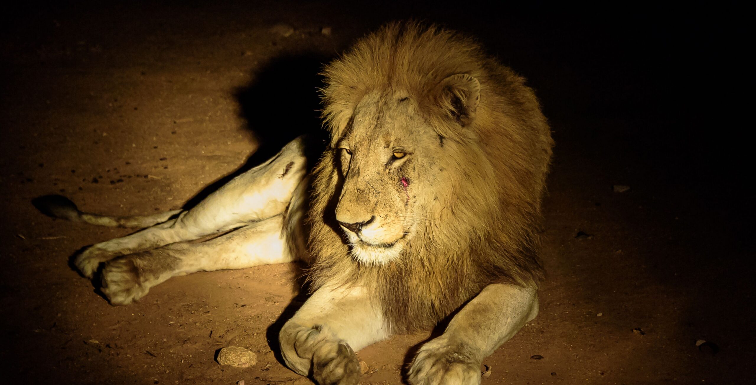 Taita Hills Wildlife Sanctuary en LUMO Conservancy