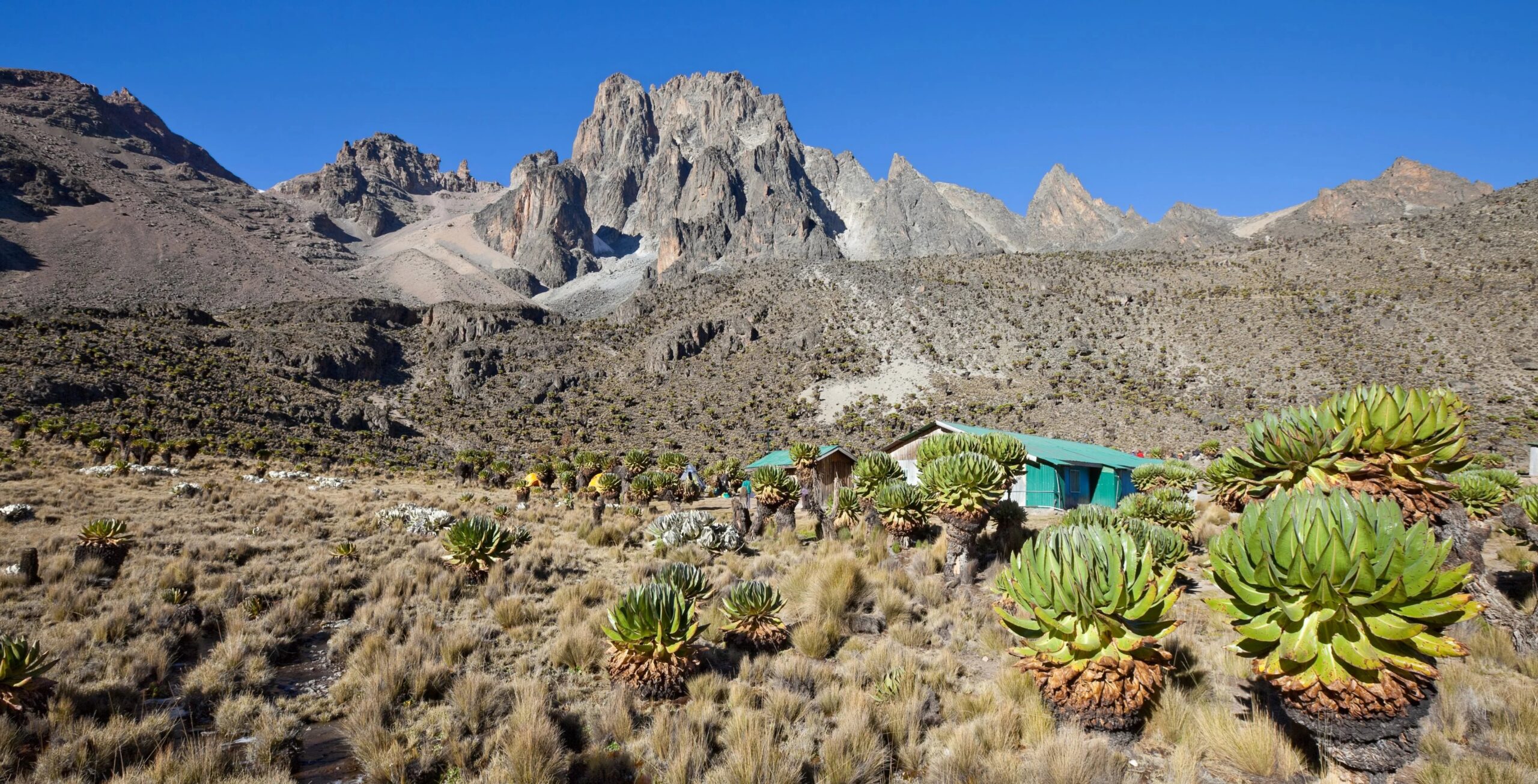 Sirimon Route 5 dagen, dag 2: Old Moses Camp (3300m) - Shiptons Camp (4200m)