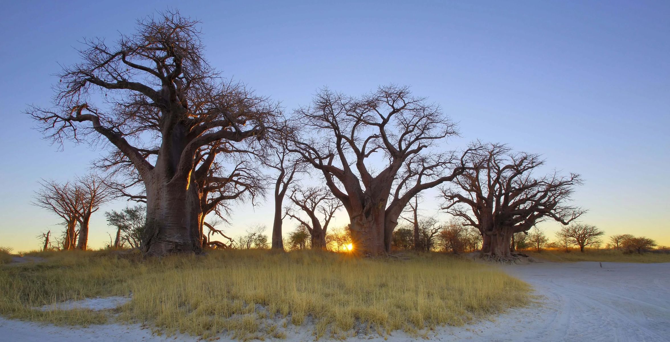 Nxai Pan National Park