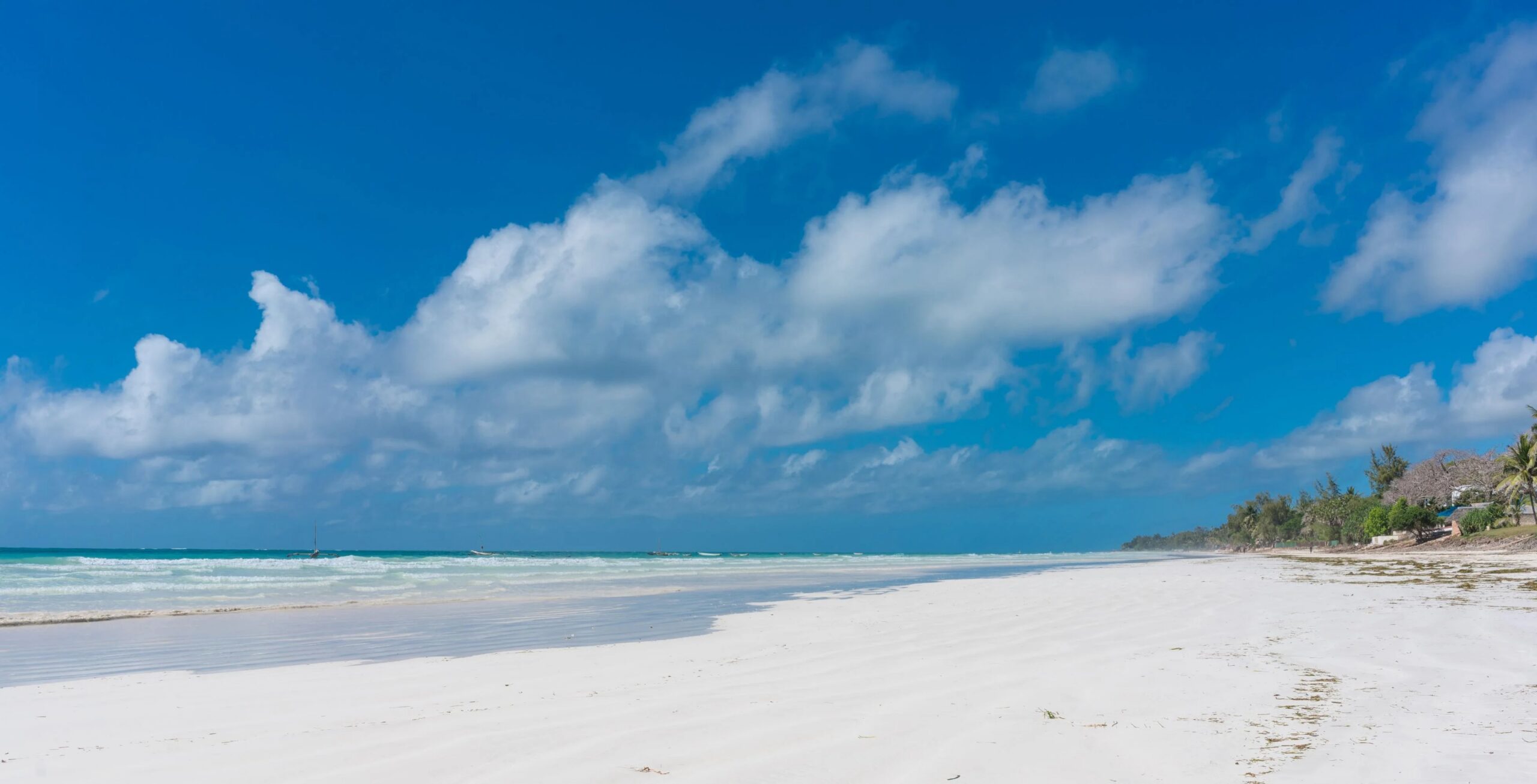 Rit van Tsavo East National Park naar Diani Beach