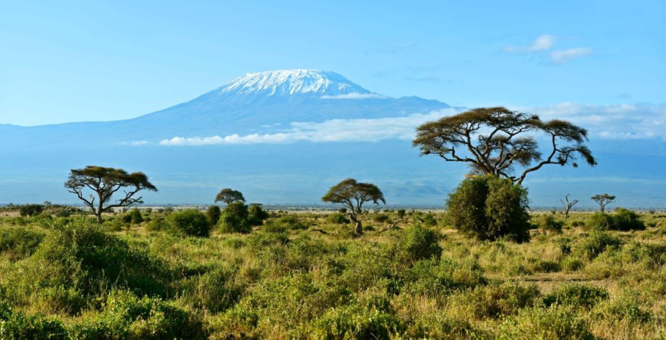 Rit van Nairobi naar Amboseli National Park