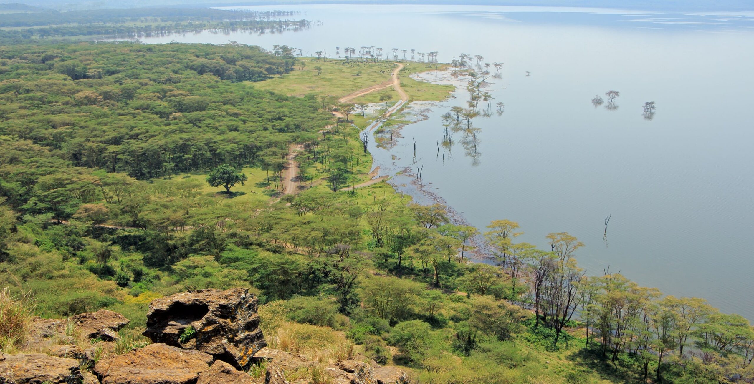 Rit van Nairobi naar Lake Nakuru National Park