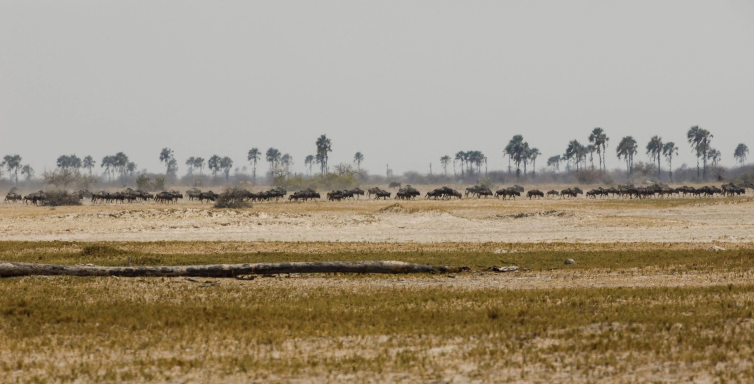 De Makgadikgadi zoutpannen