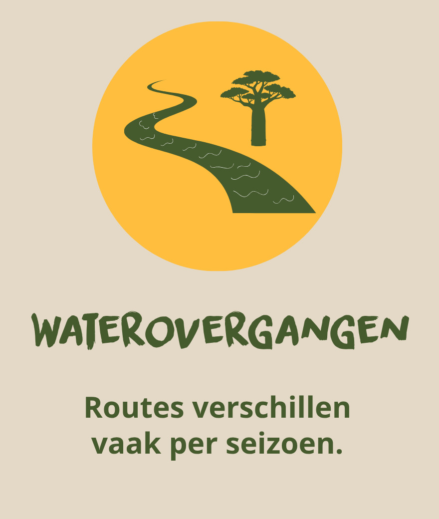 Water crossings can affect safari routes in Botswana