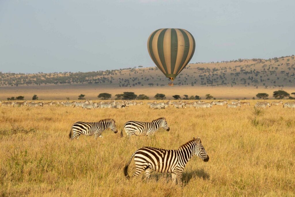 Heteluchtballon boven de savanne in Afrika met een kudde zebra's