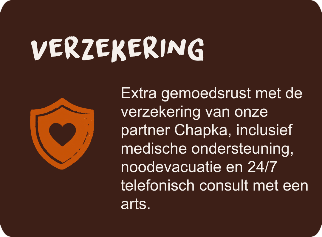 Travel and medical insurance