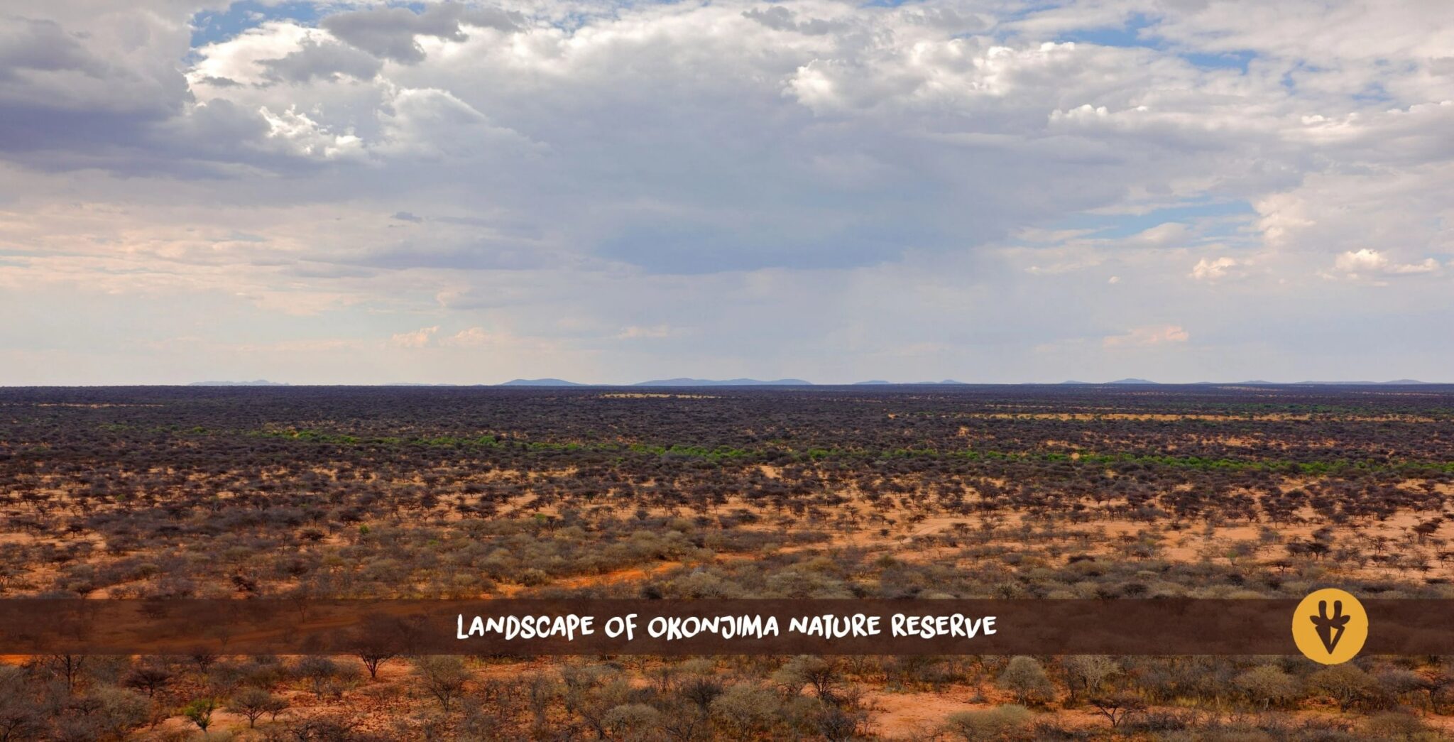 Uitgestrekt landschap van het Okonjima Nature Reserve in Namibië van bovenaf, met struiken en bomen