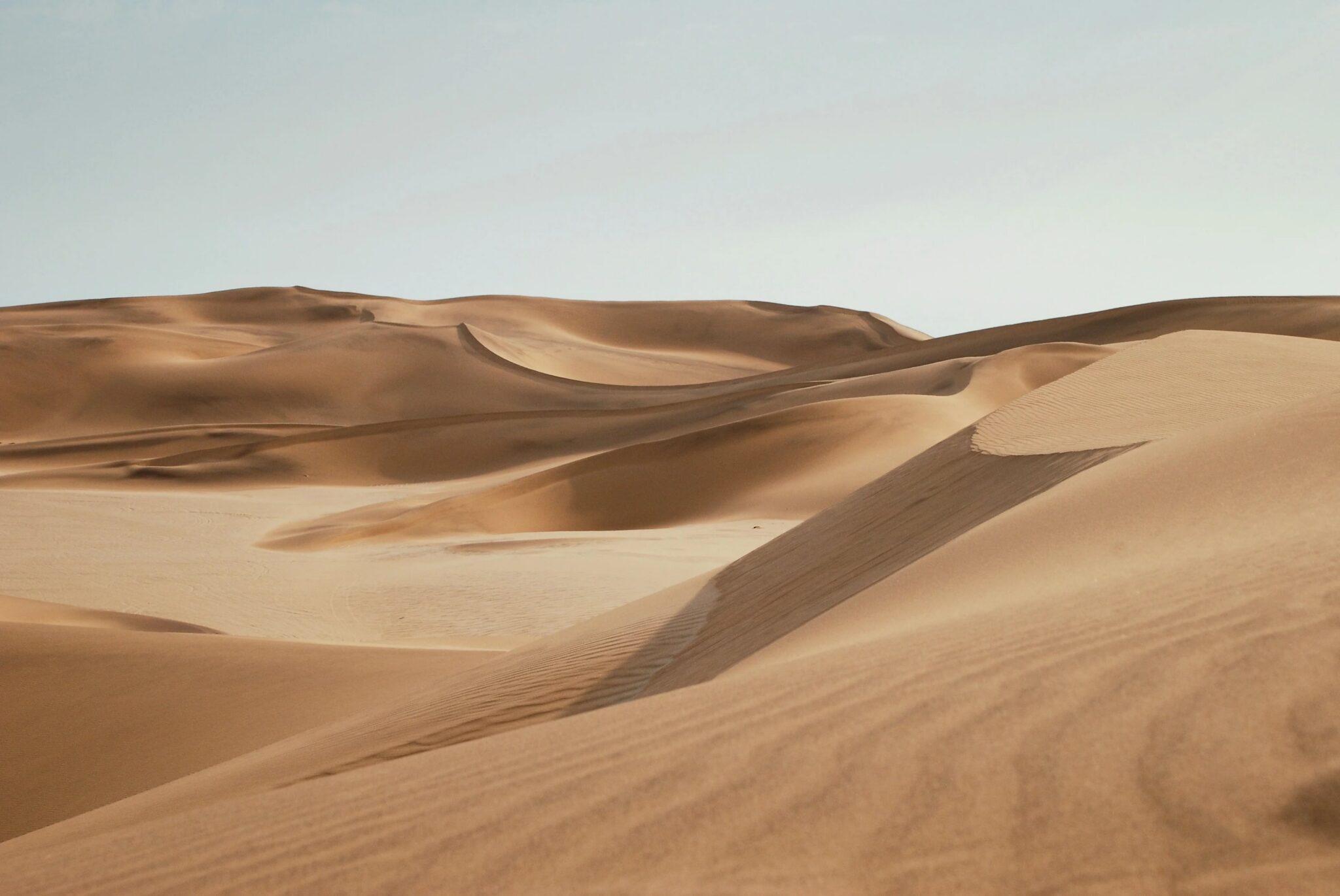 Golvende duinen in de Namibwoestijn in Namibië